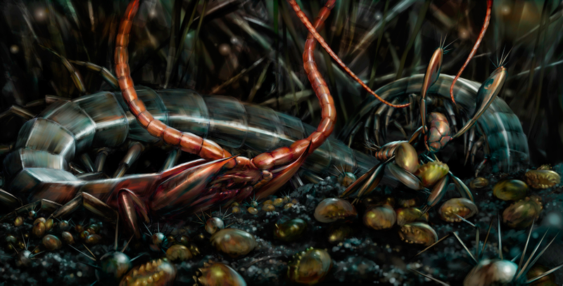 Illustration for article titled Intense graphic novel about insects is like Dr. Seuss meets Darwin